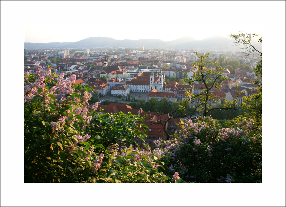 Blick vom Schloßberg