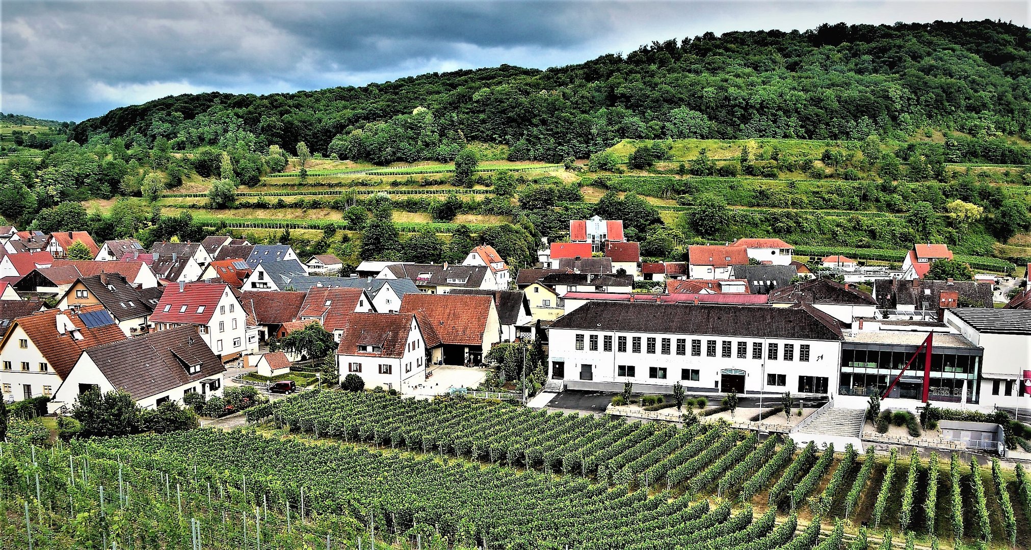 Blick vom Schloßberg auf Achkarren