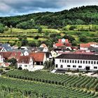 Blick vom Schloßberg auf Achkarren