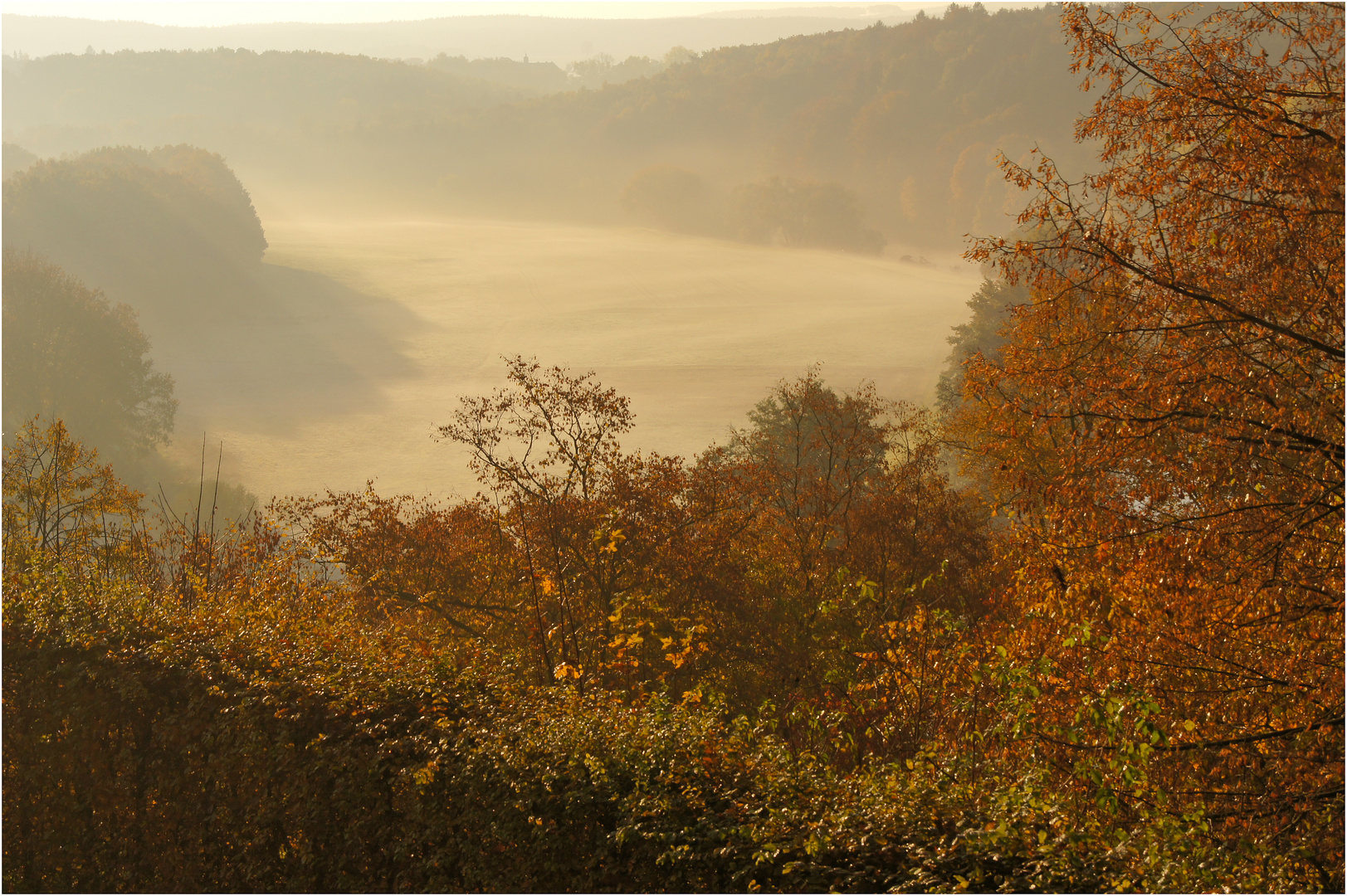 Blick vom Schlosspark Lichtenwalde