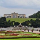 BLICK VOM SCHLOSSPARK SCHÖNBRUNN - WIEN .......