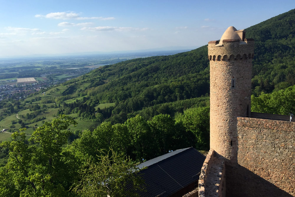 Blick vom Schloßturm