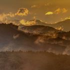 Blick vom Schlüsselfelsen, Erlenbach, in den Pfälzerwald