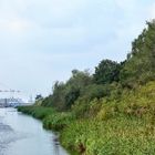 Blick vom Schnatermann Richtung Rostocker Hafen