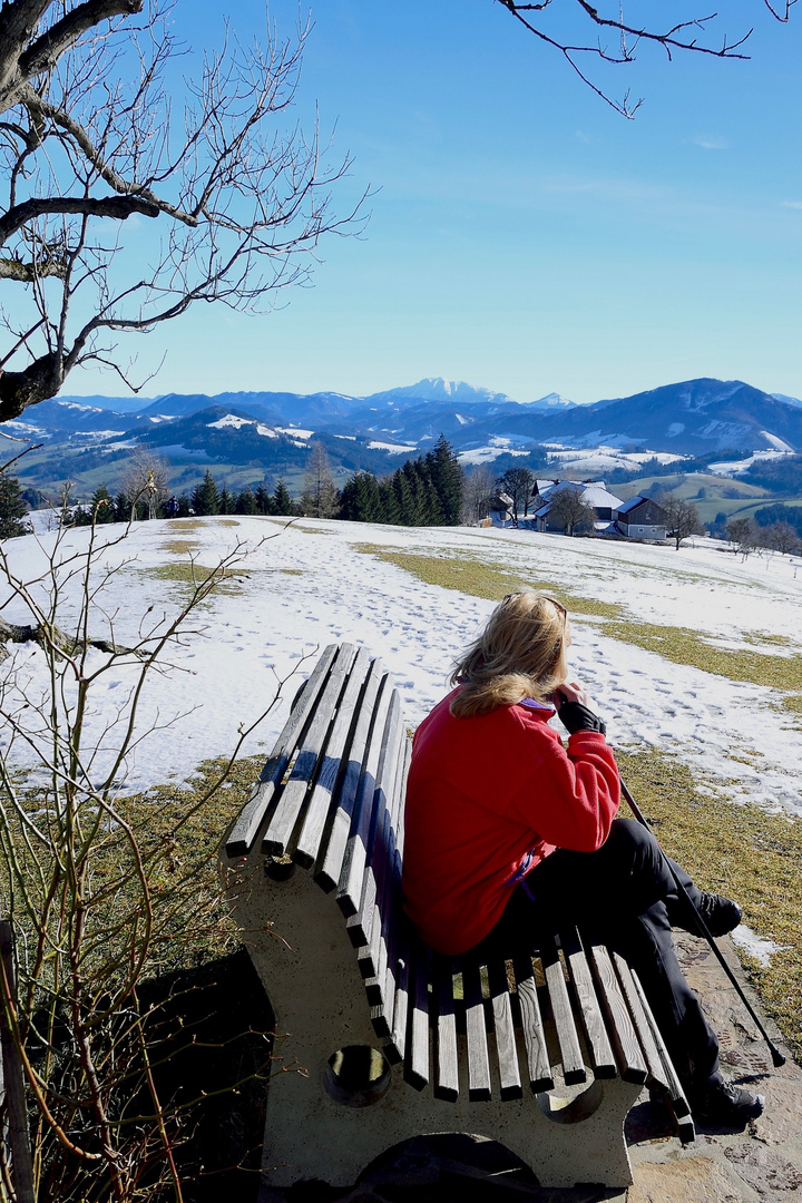 Blick vom Schobersberg zum Ötscher