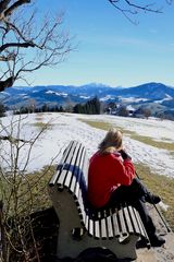 Blick vom Schobersberg zum Ötscher