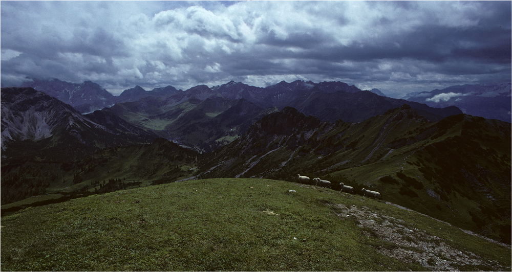 Blick vom Schönberg