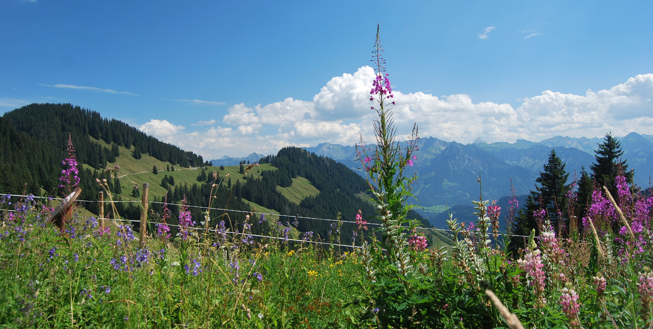 Blick vom Schwabenhaus / Naturpark Nagelfluhkette