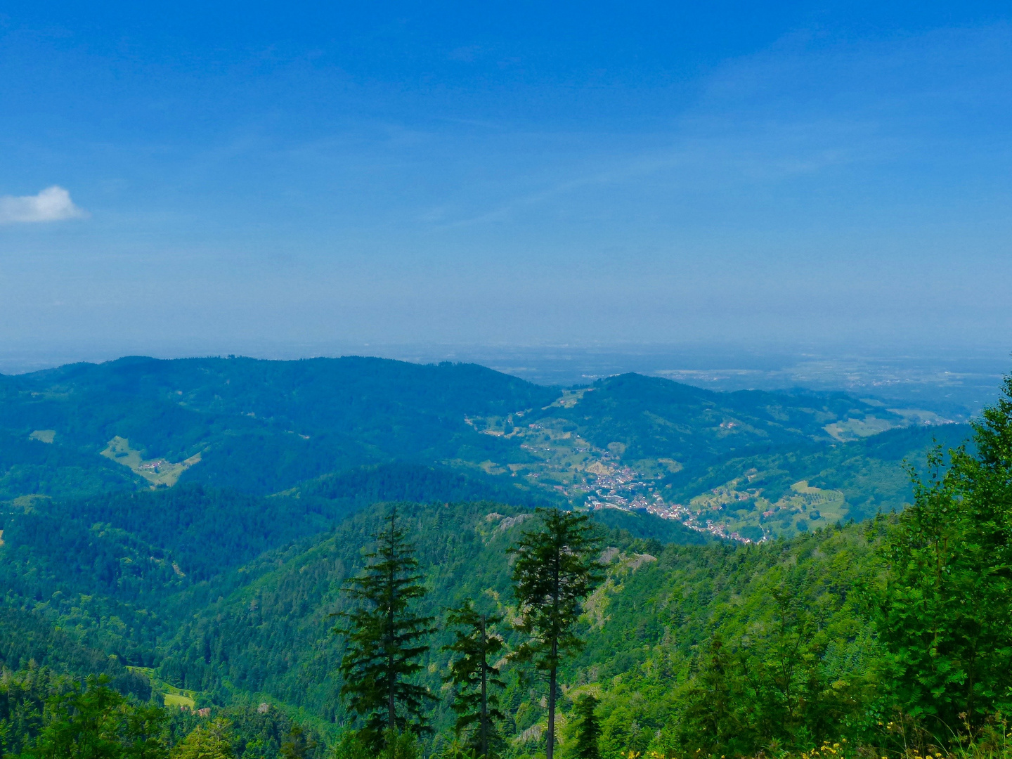 Blick vom Schwarzwald