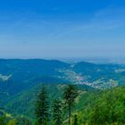 Blick vom Schwarzwald