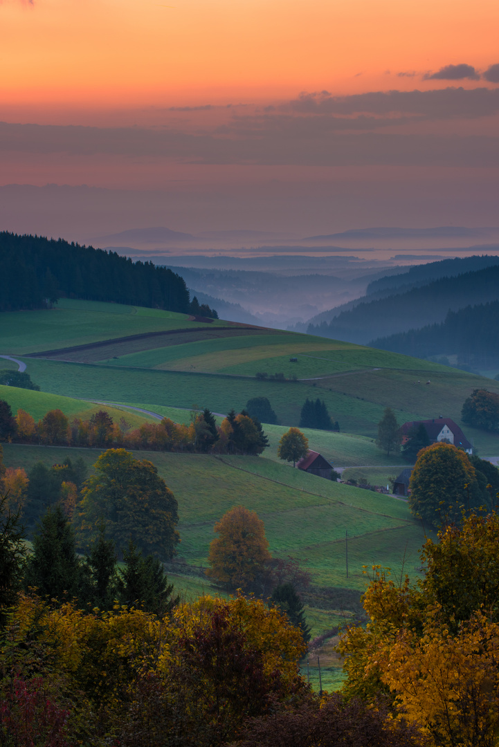 Blick vom Schwarzwald in die Baar