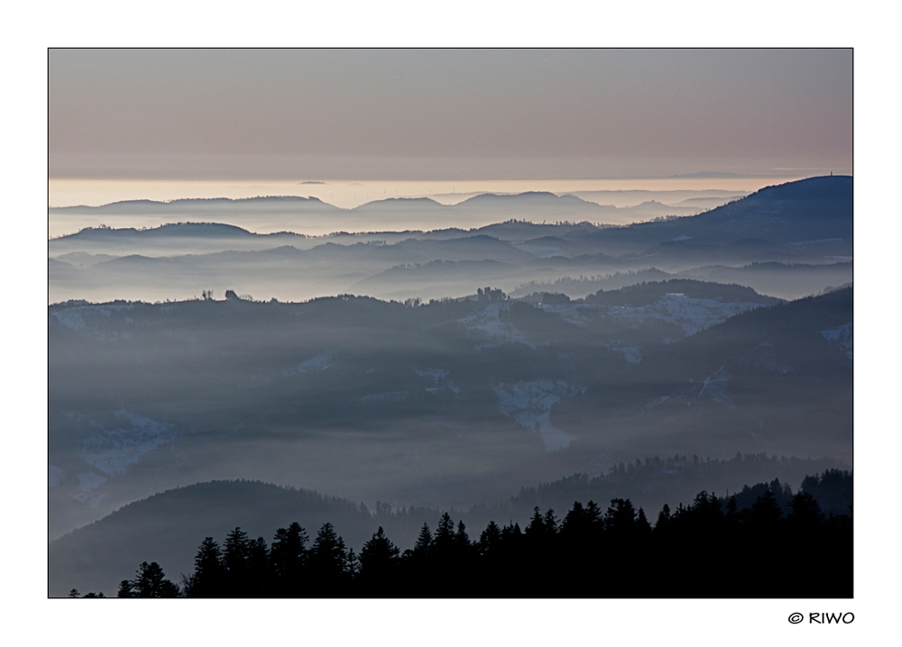 Blick vom Schwarzwald in die Rheinebene.............