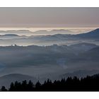 Blick vom Schwarzwald in die Rheinebene.............