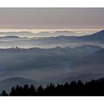 Blick vom Schwarzwald in die Rheinebene.............