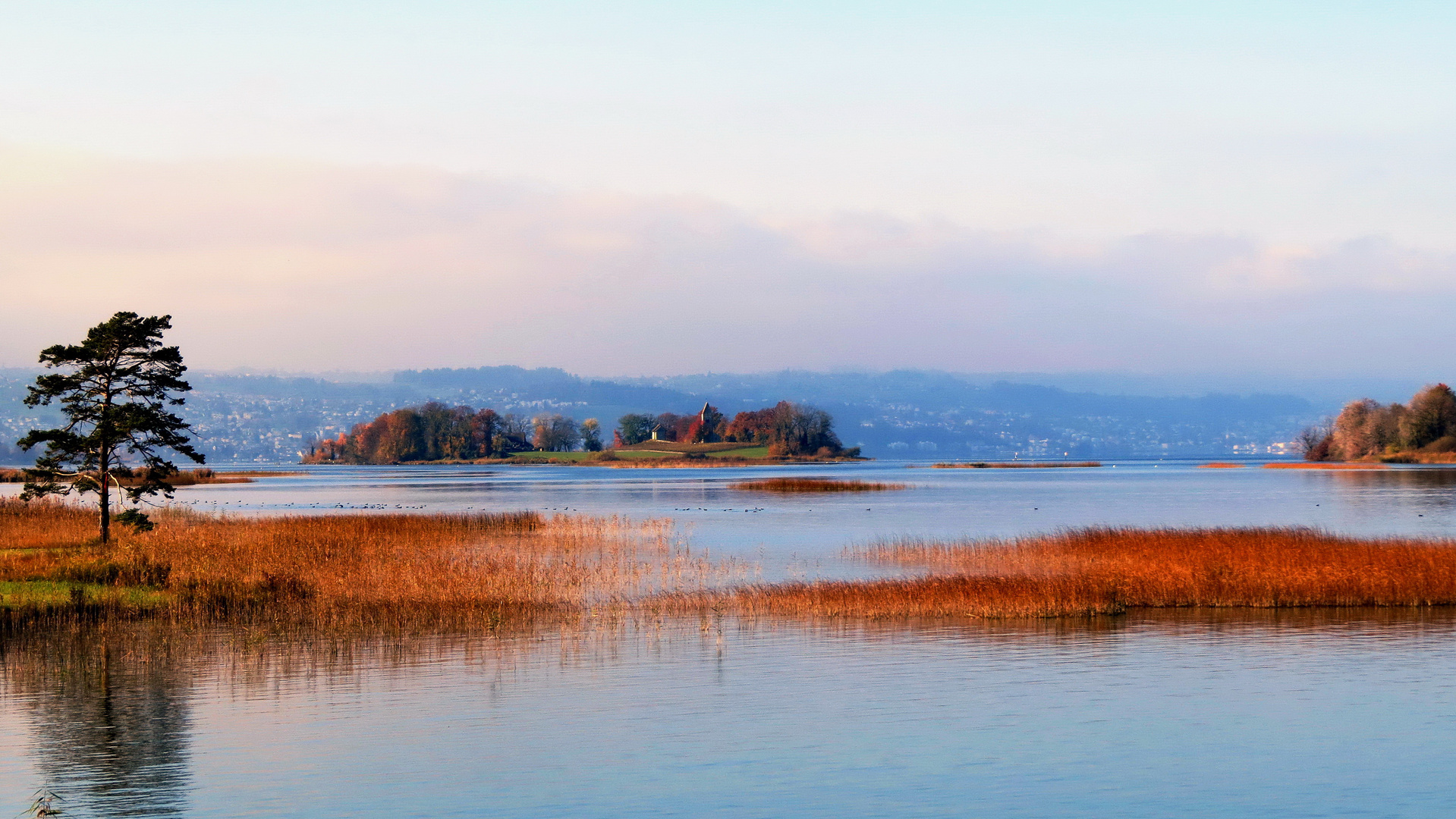 Blick vom Seedamm auf den Zürichsee