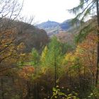 Blick vom Siebengebirge Richtung Rhein/Drachenfels