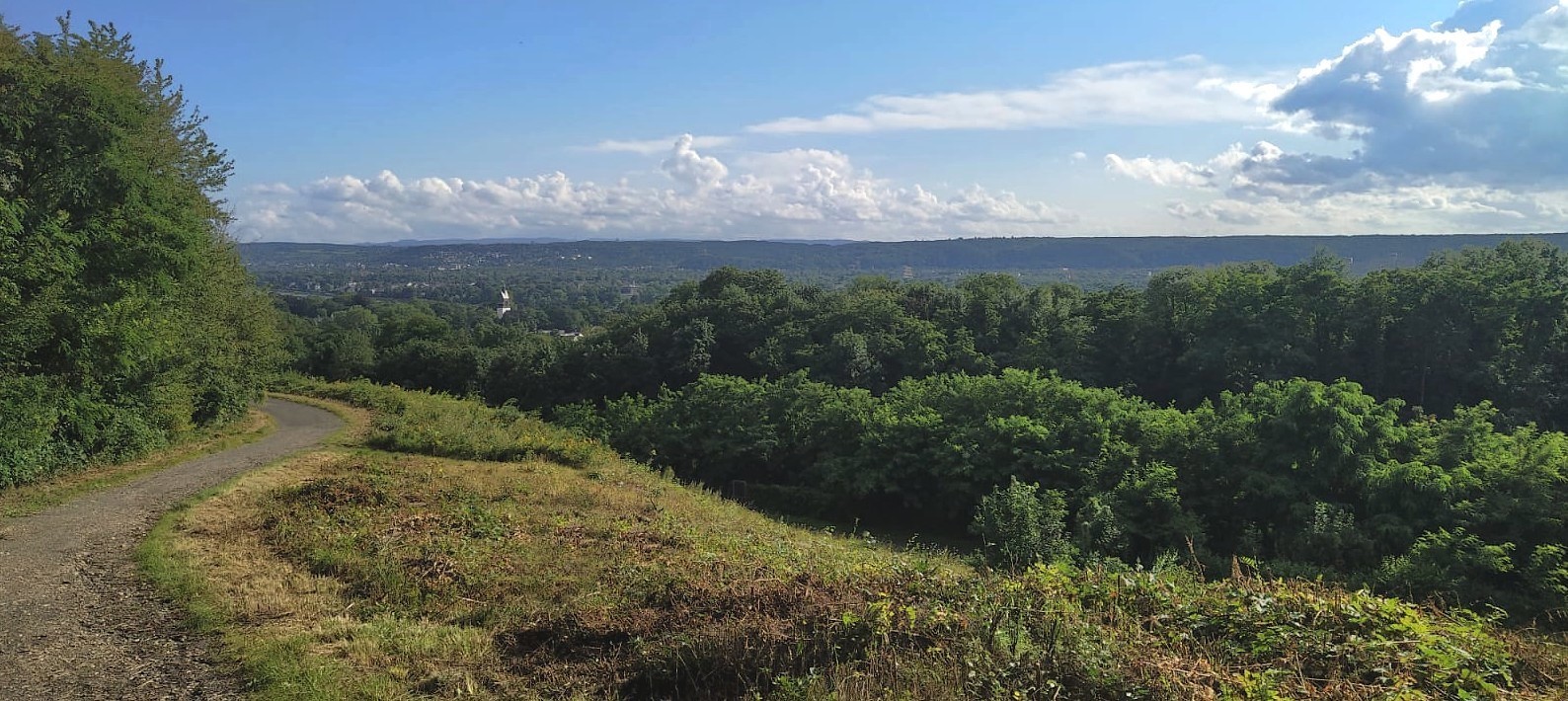 Blick vom Siebengebirge über das Rheintal