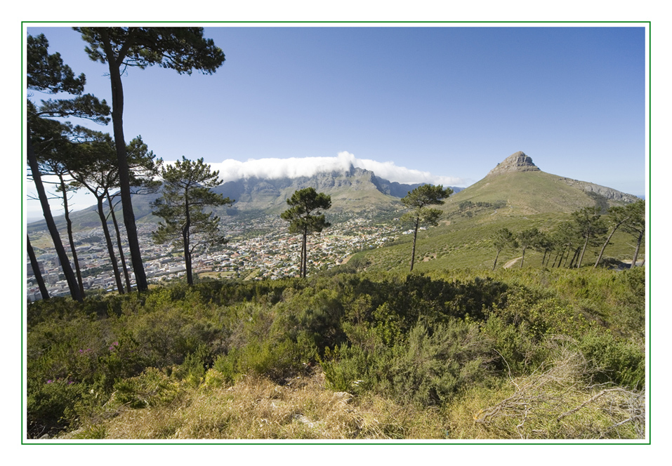 Blick vom Signal Hill auf Tafelberg