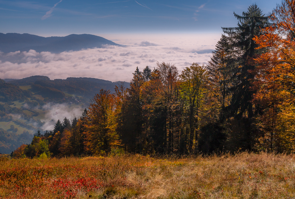 Blick vom Skihang