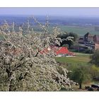 Blick vom Sonnenberg auf das deutsche Weintor in der Pfalz..........