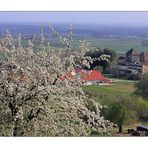 Blick vom Sonnenberg auf das deutsche Weintor in der Pfalz..........