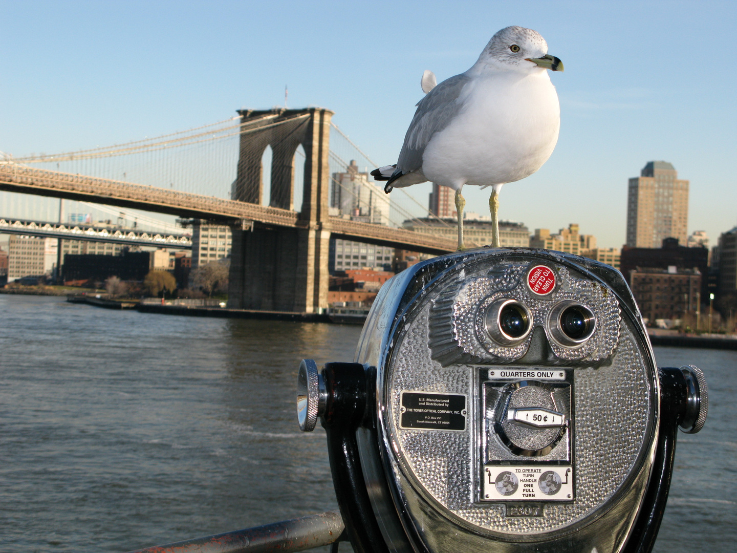 Blick vom South Street Seaport zur Brooklyn Bridge