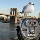 Blick vom South Street Seaport zur Brooklyn Bridge