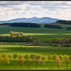 Blick vom Spitzberg