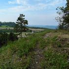 Blick vom Spitzberg zum Staffelberg