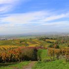 Blick vom Staufenberg