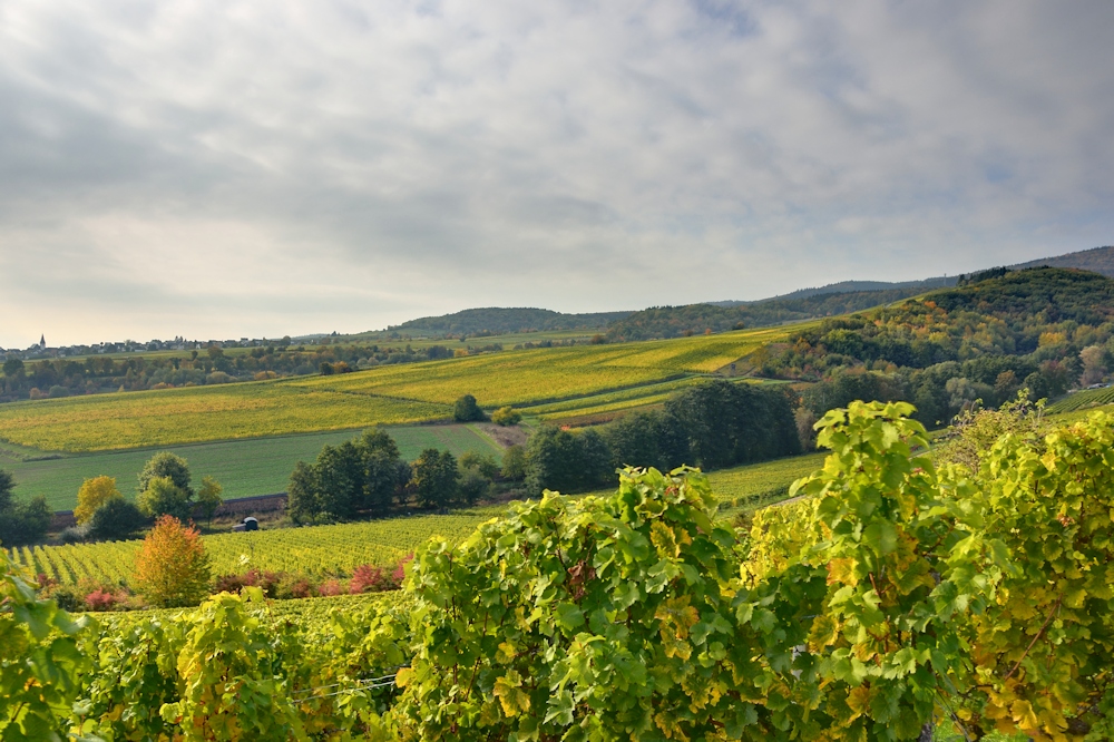 Blick vom Steinberg