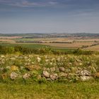 Blick vom Steinelaberint in Framersheim