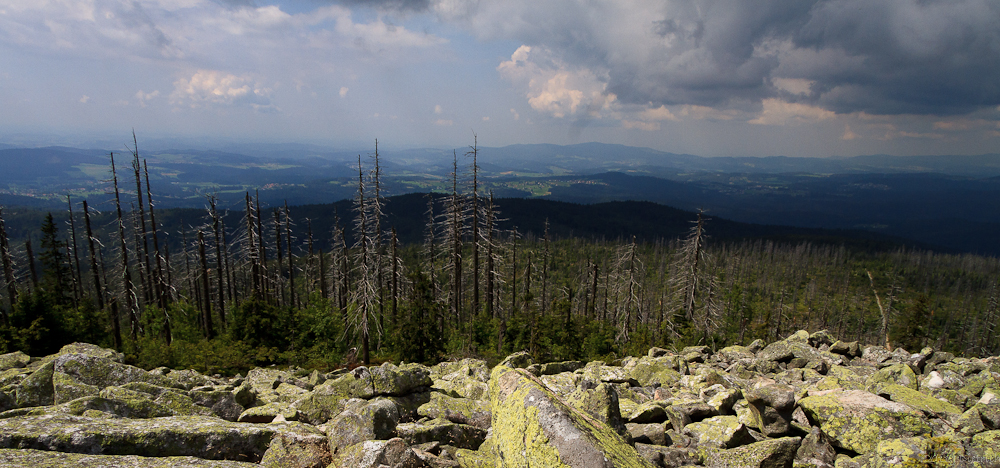 Blick vom Steinmeer des Lusen