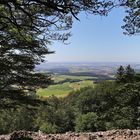 Blick vom Stellberg (2019_06_29_EOS 6D Mark II_4542_ji)