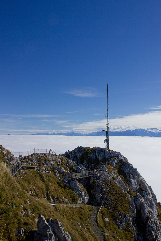 Blick vom Stockhorn aufs Nebelmeer