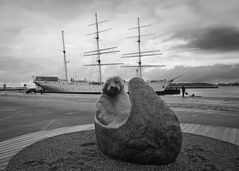 Blick vom Stralsunder Ozeaneum