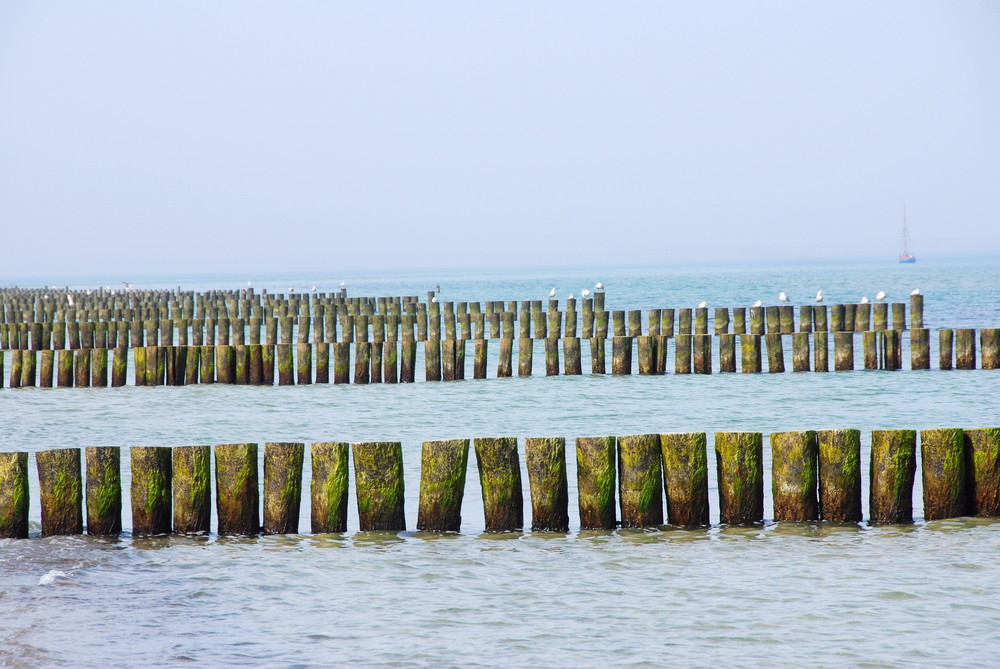 Blick vom Strand