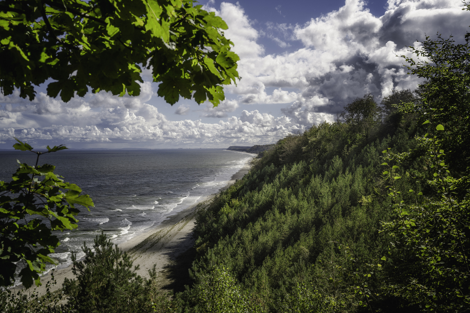 Blick vom Streckelsberg durchs Blätterdach - Usedom 