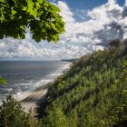 Blick vom Streckelsberg durchs Blätterdach - Usedom 