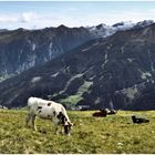 Blick vom Stubnerkogel Richtung Bad Gastein