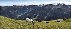 Blick vom Stubnerkogel Richtung Bad Gastein