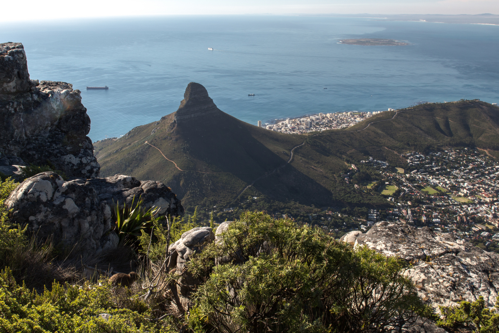 Blick vom Tafelberg auf den Lion's Head