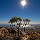 Blick vom Tafelberg