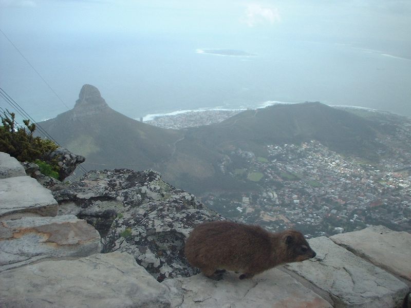 Blick vom Tafelberg in Kapstadt