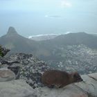 Blick vom Tafelberg in Kapstadt