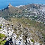 Blick vom Tafelberg: Lion's Head