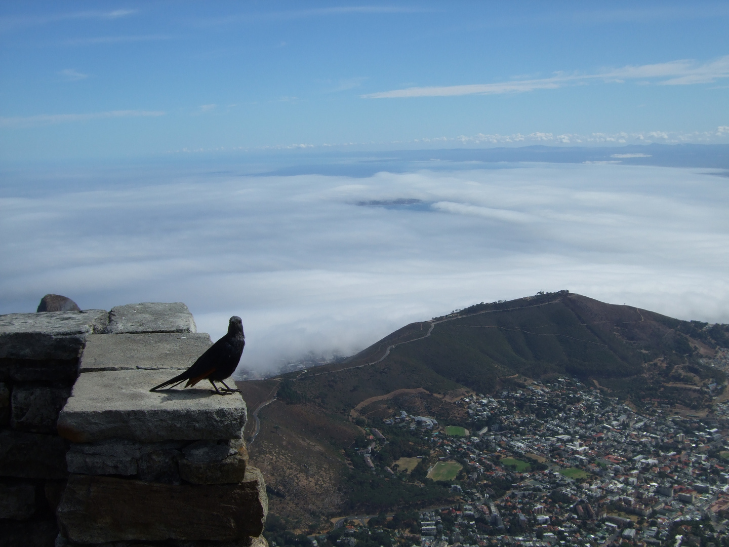 Blick vom Tafelberg zum Signal Hill