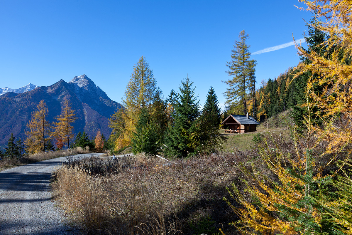 Blick vom Tamberg