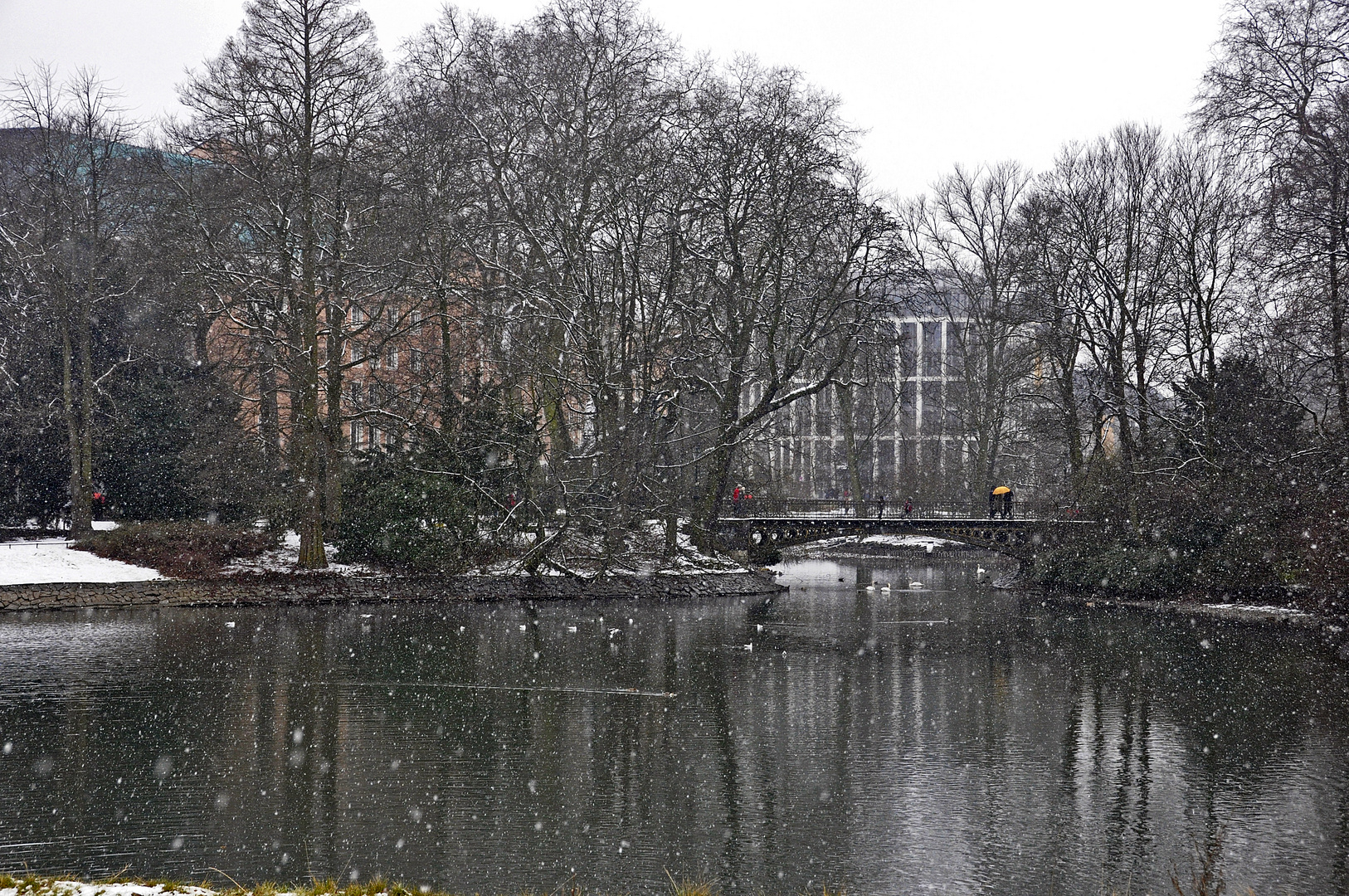 Blick vom Tausendfüßler 13