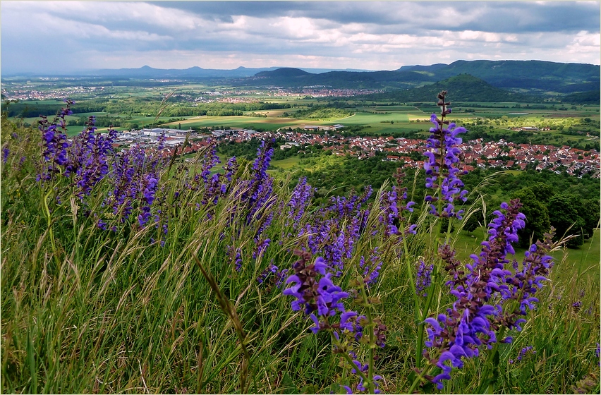 Blick vom Teckberg 2